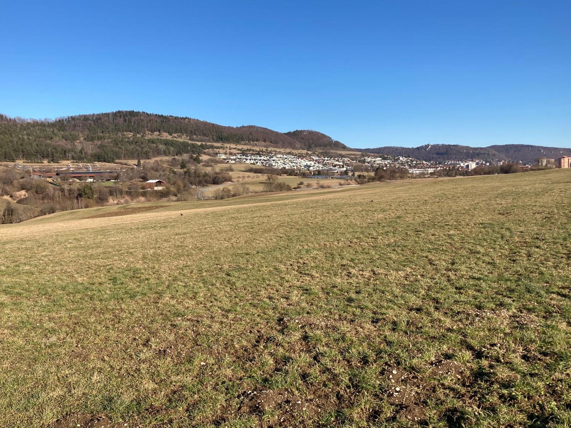 Atemberaubender Ausblick Mit Premium-Wanderwegen Vor Der Haustuer Lejlighed Albstadt Eksteriør billede