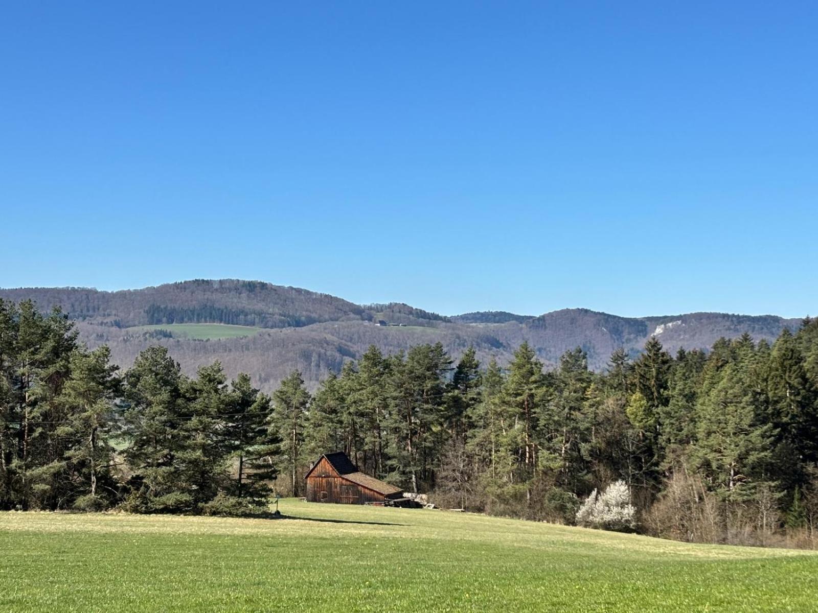 Atemberaubender Ausblick Mit Premium-Wanderwegen Vor Der Haustuer Lejlighed Albstadt Eksteriør billede