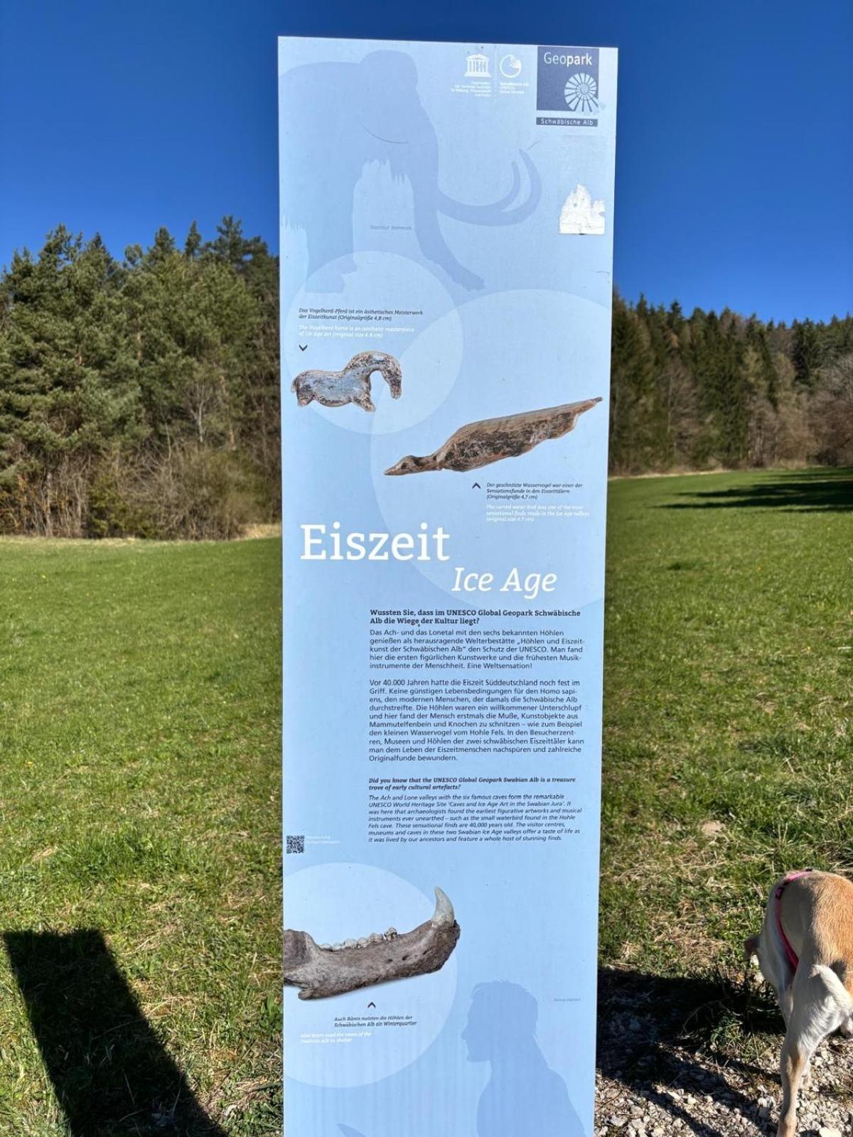 Atemberaubender Ausblick Mit Premium-Wanderwegen Vor Der Haustuer Lejlighed Albstadt Eksteriør billede